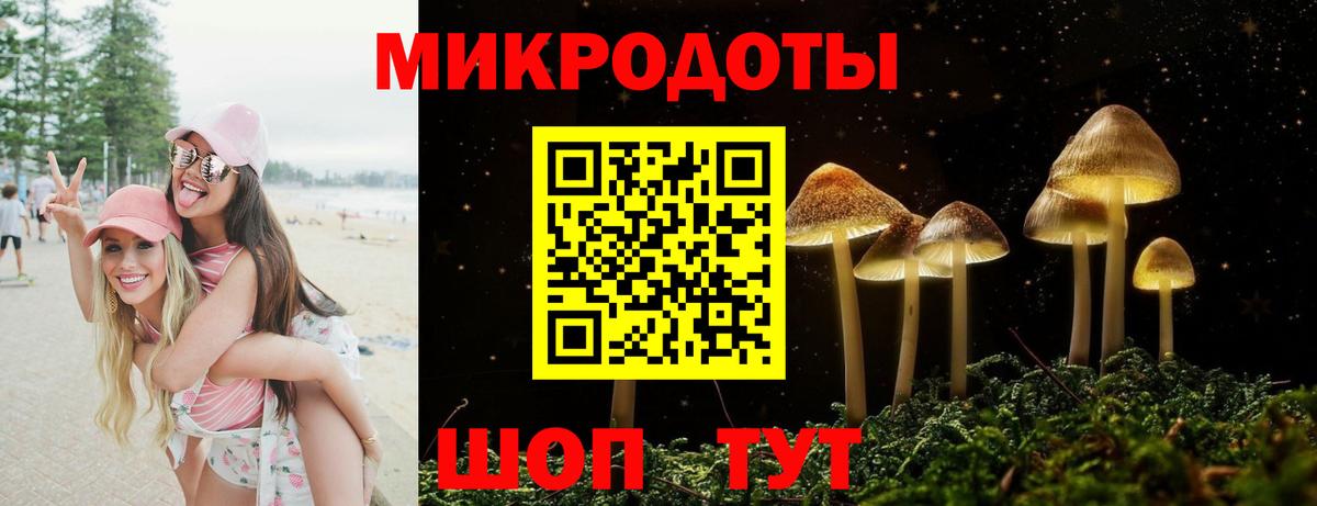 Альметьевск  закладка  Вход с VPN  Псилоцибиновые грибы ЛСД 